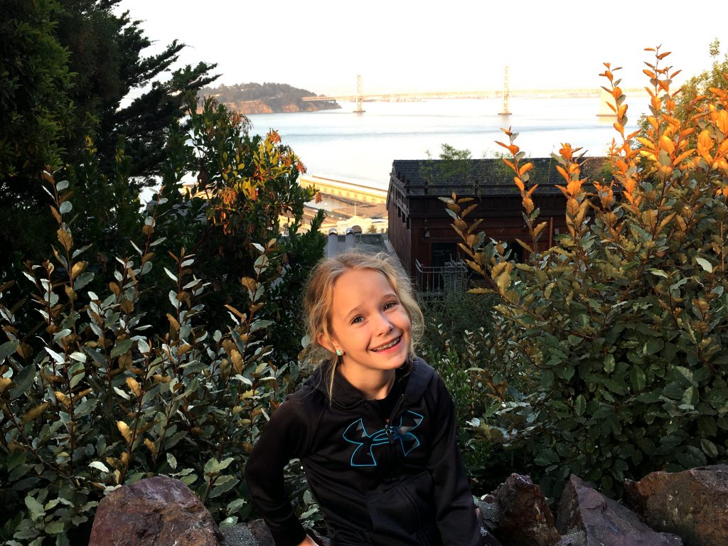 Coit Tower Lookout